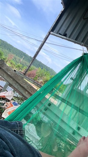 Cũng là một buổi đi làm,sao thấy buồn và nhớ…..😄🫰@#côngtrìnhapec #apec