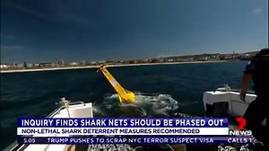 Should shark nets be phased out in Australia? www.7NEWS.com.au #7NEWS | 7NEWS Australia