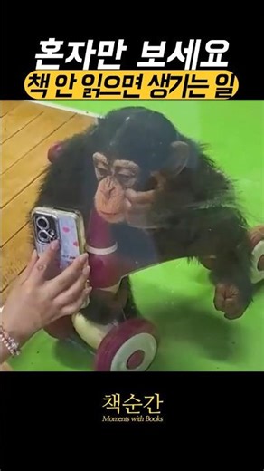 혼자만 보세요! 책 안 읽으면 생기는 일