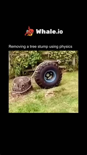 Explains Everything on Instagram: "Removing a tree stump using physics involves applying mechanical forces to extract or break down the stump. Here are some methods: Lever and Fulcrum Method Use a pry bar or a digging bar to loosen the stump, then apply a rocking motion to break the roots. You can also use a fulcrum, like a log or rock, to increase leverage ¹. Stump Grinding Operate a & stump grinder to grind the stump into small wood chips. This method is efficient and less labor-intensive. Pos