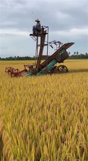 Future of Farming #FutureFarming #AgriTech #RoboticAgriculture #SmartFarming