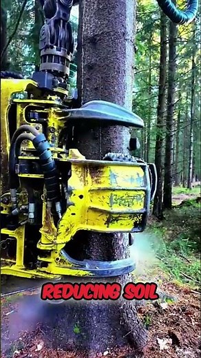 Tree Hugger Harvester in Action 🌲 | Smart Logging Machine! #rek #shorts #short #shortvideo
