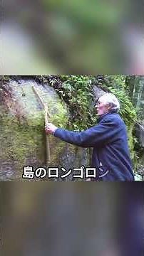 "330,000-Year-Old Stones" Formed a Wall… The Mystery Hidden Behind New Zealand's "Kaimanawa Wall"...