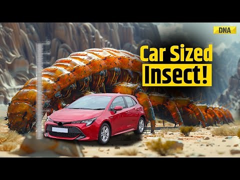 Big Discovery: Science Uncovers Prehistoric Giant Insect That Once Ruled The World | Arthropleura