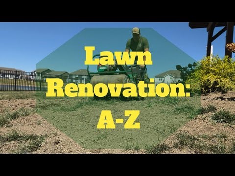 Fall Lawn Renovation: Aeration, Seeding, and More!
