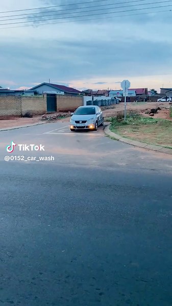 The Art of Car Washing: Tips for a Perfect Shine