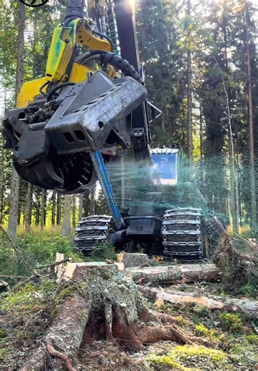 John Deere 1270G harvester perfect fall — forestry logging ASMR