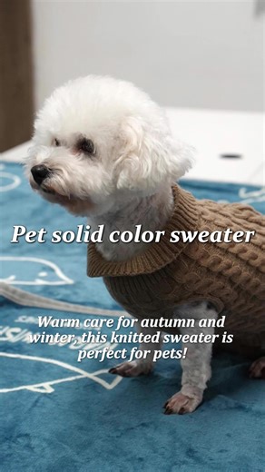 Cozy pet sweaters are here! Wrap your fur baby into a warm ball, perfect in both looks and warmth✨ #dogaccessories #cutepetaccessories #madeforpets #halloweencostumesforpets #petsmusthaves #catsweatshirt #dograincoat #puppymusthaves #dognecklace #petparentstyle #TikTokShopHolidayHaul #TikTokShopBlackFriday