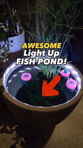 682K views · 10K reactions | Check out this awesome light up fish pond! Battery powered leds do a pretty good job of illuminating whats inside! Enjoy you fish and plants at night and impress all your friends! #fish #nature #pond #vibes | Aquapros | Facebook