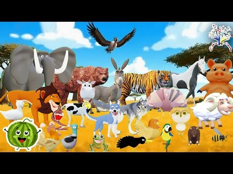 ABC ANIMAL SOUNDS! 🦁 From Alligator to Zebra – Learn Letters & REAL Sounds!" AZ20AZ17 || EduFam