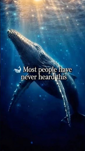 🌊 Most People Have Never Heard This | Whale Songs for Deep Sleep & Relaxation #432hz #whalesounds