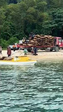 "LIVING IN VANUATU: An Expat's Guide to Paradise"