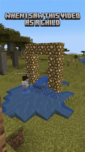 Minecraft Aether portal meme