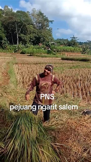 Dasyono291 (@dasyono291)’s videos with Watir Bohong - Dian Anic