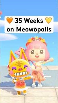 35 weeks on my CAT island with NO cheats! (finally) 😭 #acnh