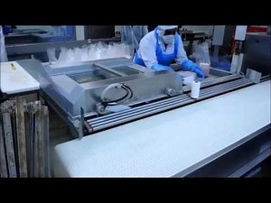 Webomatic double chamber vacuum machine DNC 20-A-DS-M2