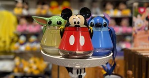 Disney Water Canteens Are A Fun Way To Stay Hydrated | Chip and Company