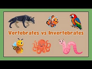 Vertebrates vs. Invertebrates: What’s the Difference? | Animal Kingdom for Kids | Science Fun!"