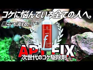 頑固なコケに悩んでる方必見。話題のコケ駆除剤APT FIXを徹底検証&解説！#183【アクアリウム】