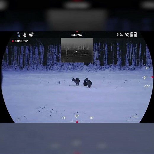 Best Thermal Binoculars? See Dual Vision in Action