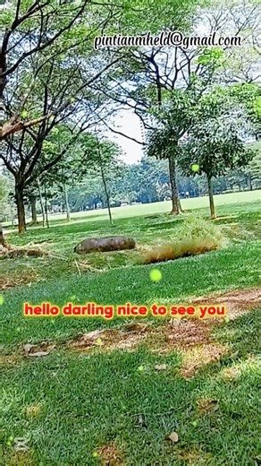 124K views · 1.5K reactions | Hello Darli'n With Lyrics Cover Song #HelloDarlin #lovesongs DISCLAIMER: I hereby declare that I do not own the rights to this music/song. All rights belong to the owner. Thank you for Watching God Bless | Mel Anie | Facebook