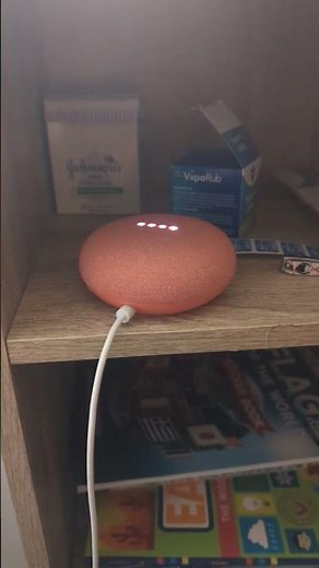 New Google Nest Mini Boot up sound