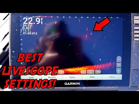 The BEST Settings for Garmin Livescope Plus! - LVS34 settings
