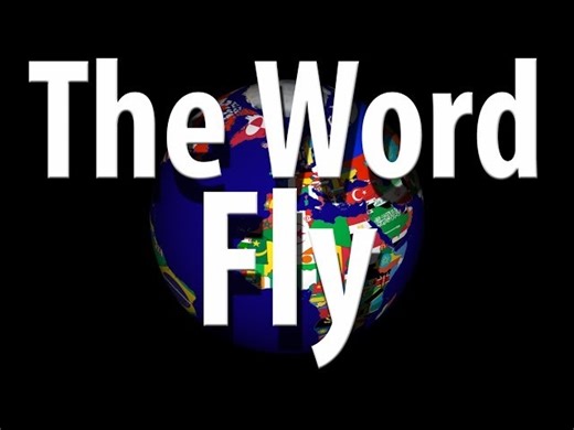Vocabulary Tutorial - Phrases With The Word 'Fly'