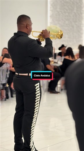 Saludos feliz inicio de semana! Bendiciones para todos 📱213-644-2516 Los Ángeles California 🌴🌴🌴 #mariachi #fiestamexicana #mariachistiktok #musicamexicana #parati
