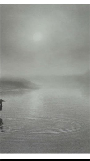 Draw Mist in Graphite #drawing #graphitedrawing #drawingtutorial #art