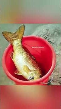 जादुई मछली मिली इस लड़के को 😱 बदल गई पूरी ज़िंदगी!|movie explani_#trendingshorts#vairalvideo