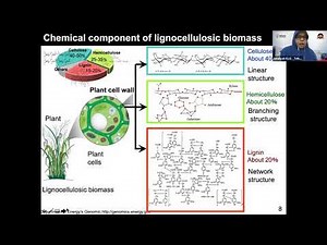 A Complete Approach of Biomass Refinery into Bioethanol, Knowledge Sharing BKTF PII 01 Juli 2020