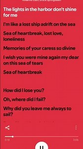 Rosanne Cash, Bruce Springsteen - Sea Of Heartbreak (Lyrics)