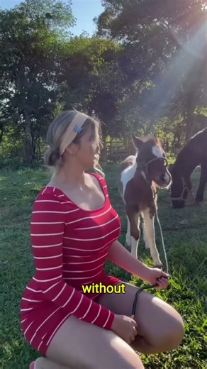 Pure Trust! 🥺❤️ Cute Moment with Baby Horse #farmlife #cowgirl #horse