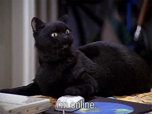Salem Saberhagen - Alchetron, The Free Social Encyclopedia