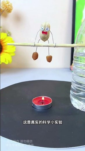 Physics Balance Spinning Peanut Experiment 🥜🔥 Center of Mass Science Hack Balancing Peanut Puppet