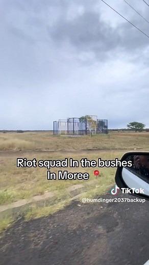 These mad tunts bra #fyp