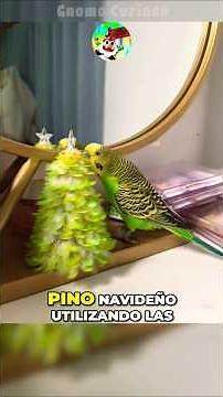 Cómo hacer un pino navideño con plumas de aves (tutorial)