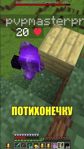 I Trolled a Cheater with an IMPOSSIBLE TRAP in Minecraft
