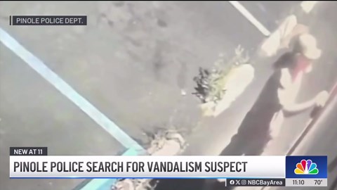 Pinole police search for graffiti vandalism suspect