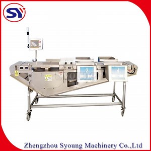 [Hot Item] Smartline Grader for Whole Fish Seabass Seabream Weight Grading Machine