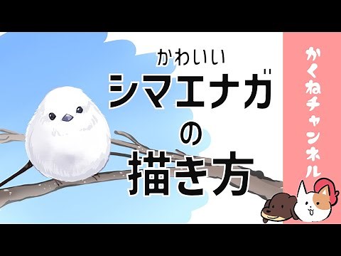 かわいいシマエナガの描き方【字幕つき】iPad/Sketchbookアプリで描く