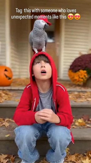 44 reactions | Scared at first...then couldn't stop smiling  #africangrey #cinematicreel #parrotlovers #parrotlovers #smartbirds #drparrot | Dr.Parrotly | Facebook