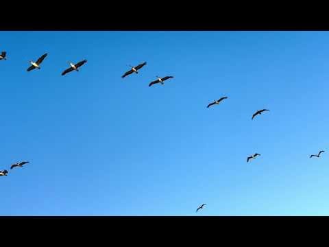 Beautiful Malibu California