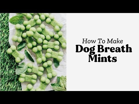 How To Make Dog Breath Mints