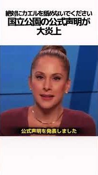 アメリカの国立公園で出された、異常すぎる警告を知っていますか？#ヒキガエル #雑学 #解説#アメリカの事件#コロラドリバーヒキガエル #生物の不思議 #ヤバい法律 #世界の不思議 #豆知識