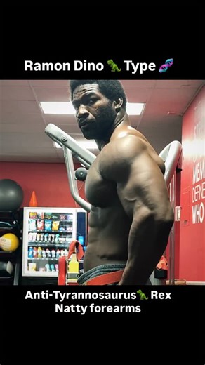 @showmegains on Instagram: "Forearms are coming back into classic!!!! What an amazing classic showing at the Olympia! As I predicted Dino took it! It could’ve gone any way imo Ruff shoulda been 2nd but either three could’ve taken it they all brought crazy stetics. I’m really happy about the Ramon win as my physique and stature is closest to his, in person when I saw Ramon I lowkey thought I was a mini version of him bro gotta have sum west African in him. His shape is a lot more classic and old 