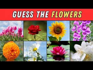 Guess the Flowers | Flowers Quiz for Kids | Name 50 Flowers