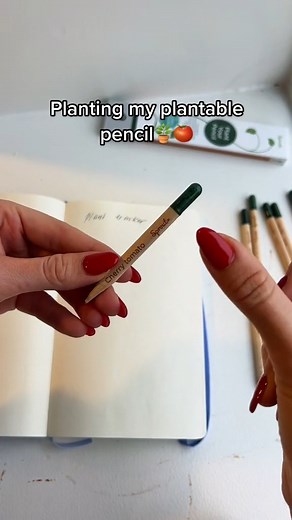18K views · 324 reactions | Pencils that grow into herbs, flowers or vegetables after use? Yes, that’s right! Write, plant, grow. · A variety of different seeds. Basil, tomato, melon, sunflower. · Original gift idea for everyone who loves surprises and care for the planet · Produced in the EU · Can be customized · Patented – the original plantable pencils from SproutWorld · B Corp certified | SproutWorld | Facebook