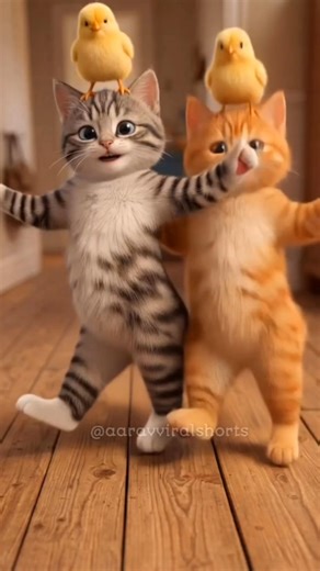 Dancing Cats with Baby Chicks 😍🐱🐥 | Cutest Combo Ever!